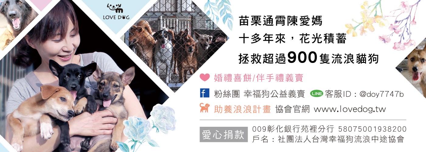 幸福狗流浪中途義賣