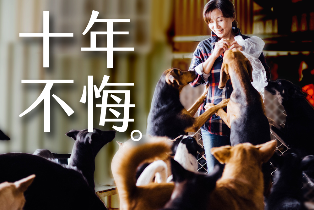 幸福狗流浪中途義賣