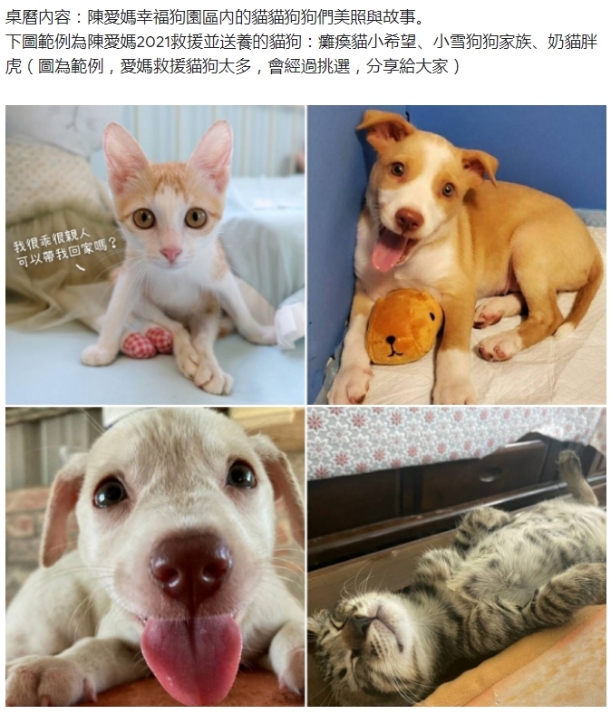 幸福狗流浪中途義賣
