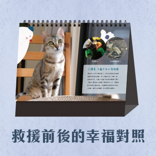 ⭐早鳥優惠預購⭐『2026公益桌曆』 🐶 幫助流浪貓狗 🐱 買多有優惠- 預計11月出貨：圖片 8