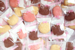 【現貨】造型餅乾 20片裝輕量分享包