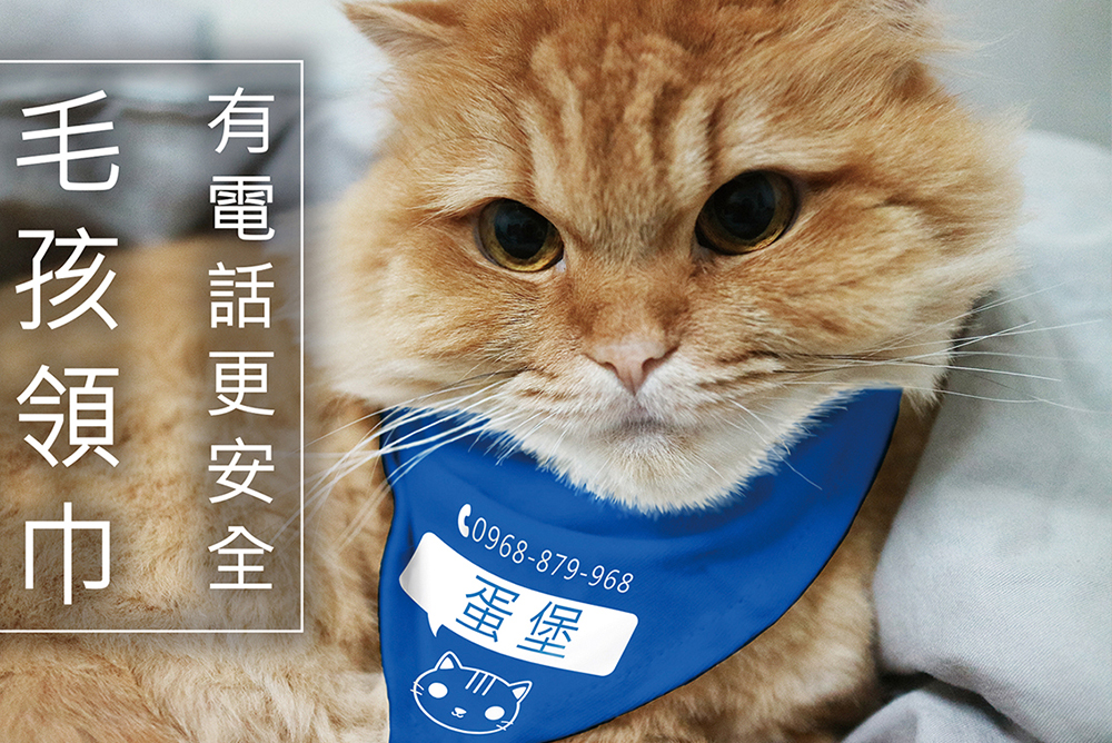 幸福狗流浪中途義賣