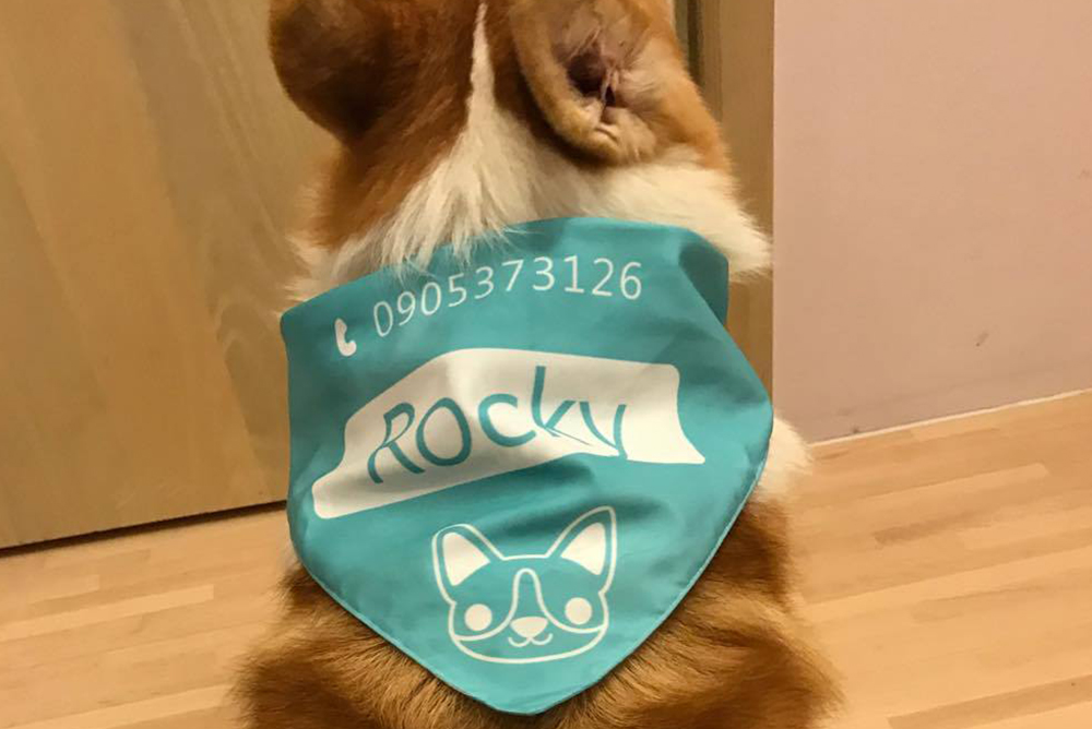 幸福狗流浪中途義賣