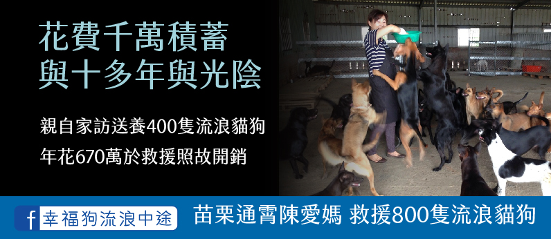幸福狗流浪中途義賣