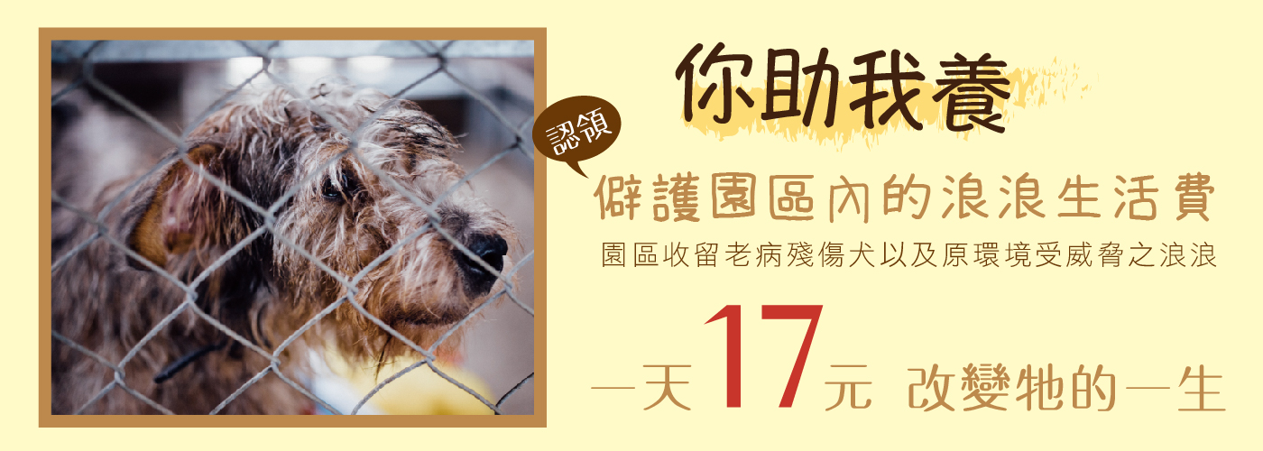 幸福狗流浪中途義賣