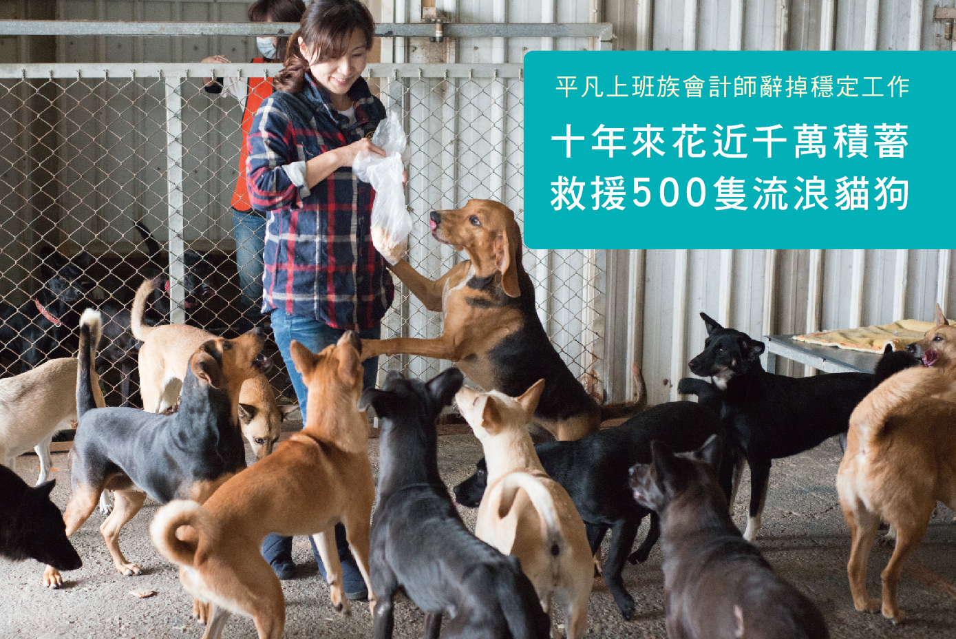幸福狗流浪中途義賣